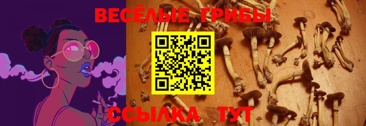 Балабаново  Галлюциногенные грибы GOLDEN TEACHER  закладки  Вход с VPN 
